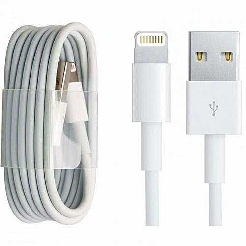 Apple Câble Lightning Vers USB pour iPhone/iPad